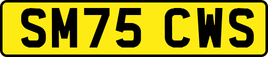 SM75CWS