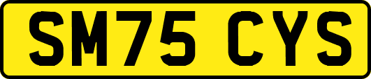 SM75CYS