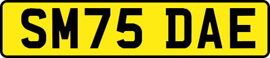 SM75DAE