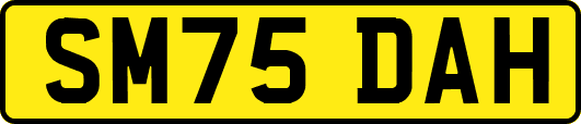 SM75DAH