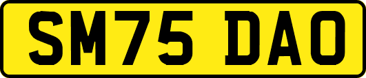SM75DAO