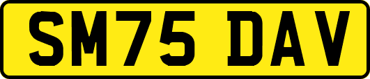 SM75DAV