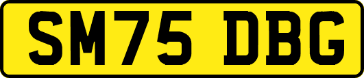 SM75DBG