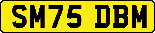 SM75DBM