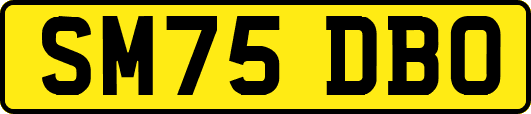 SM75DBO