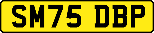 SM75DBP