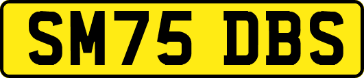 SM75DBS