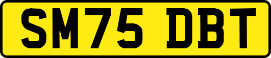 SM75DBT