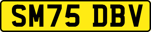 SM75DBV