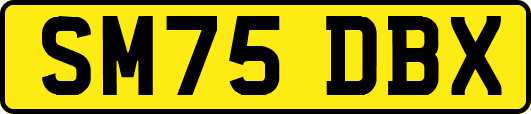 SM75DBX