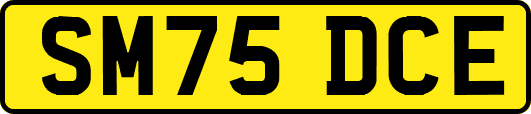 SM75DCE