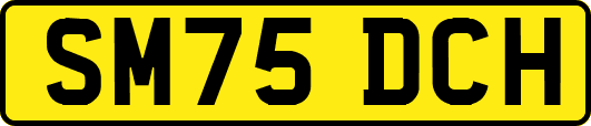 SM75DCH