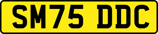 SM75DDC