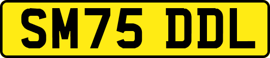 SM75DDL