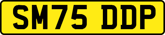 SM75DDP