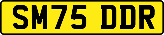 SM75DDR