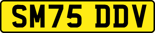 SM75DDV