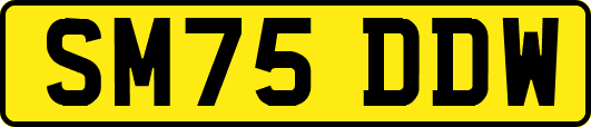 SM75DDW