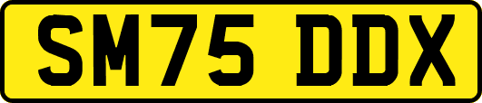 SM75DDX