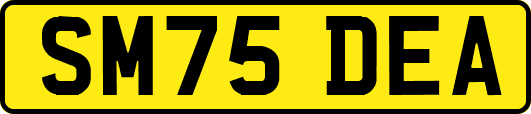 SM75DEA