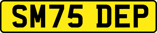 SM75DEP