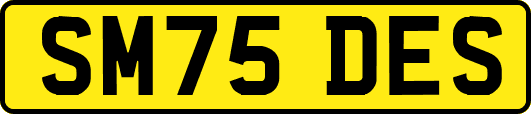 SM75DES