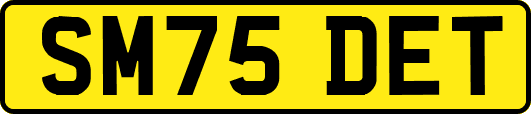 SM75DET