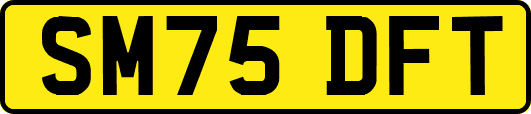 SM75DFT
