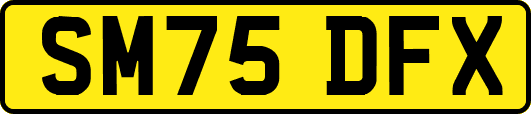 SM75DFX