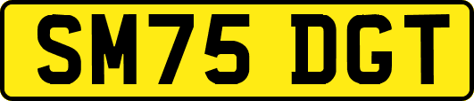 SM75DGT
