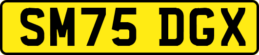 SM75DGX