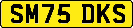SM75DKS