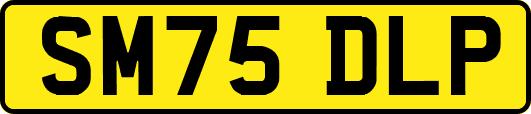 SM75DLP