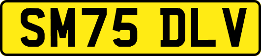 SM75DLV