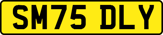 SM75DLY
