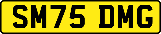 SM75DMG