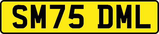 SM75DML