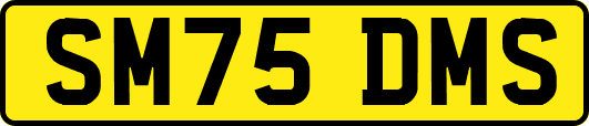SM75DMS
