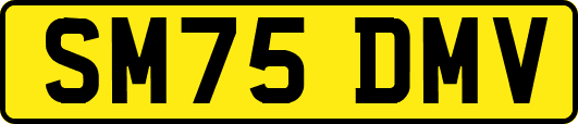 SM75DMV
