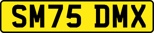SM75DMX