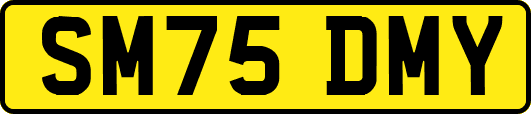 SM75DMY