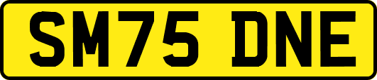 SM75DNE