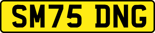 SM75DNG