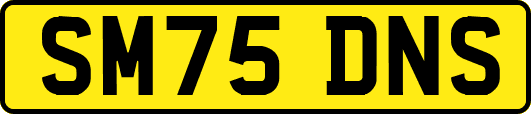 SM75DNS