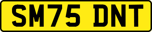 SM75DNT