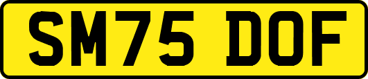 SM75DOF