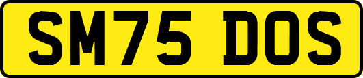 SM75DOS