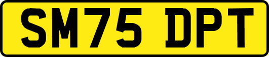 SM75DPT