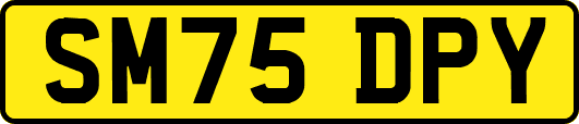 SM75DPY
