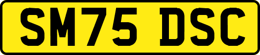 SM75DSC